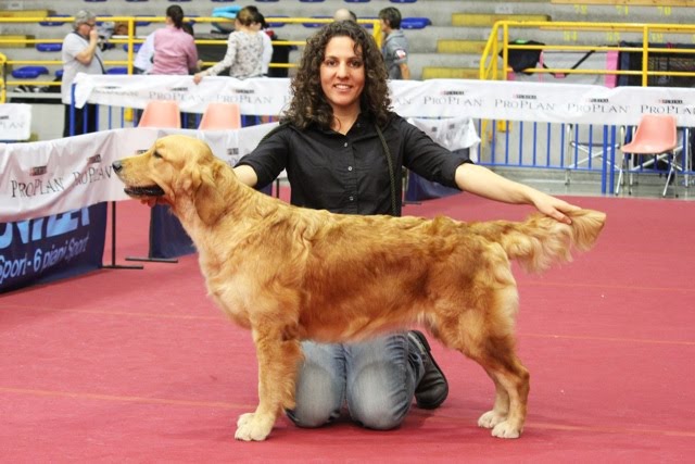 10jj by Sere Stignani