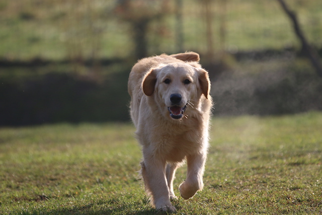 24Copia di Marty controluce