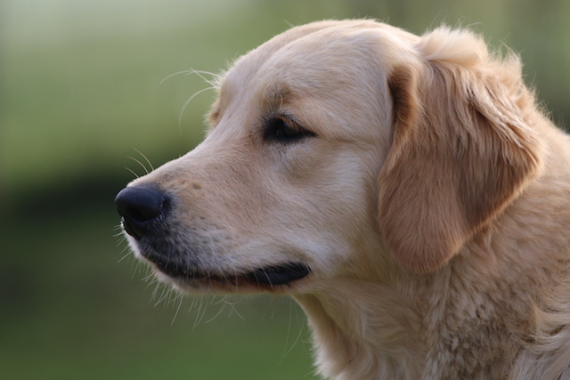 25Copia di Marty profilo