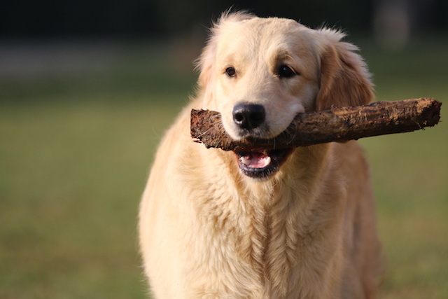 28Copia di solo Marty