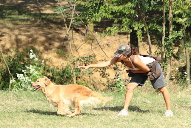 2vicky-partita-copia