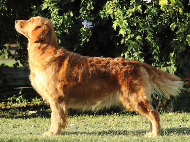 jj-free-stand2-copia