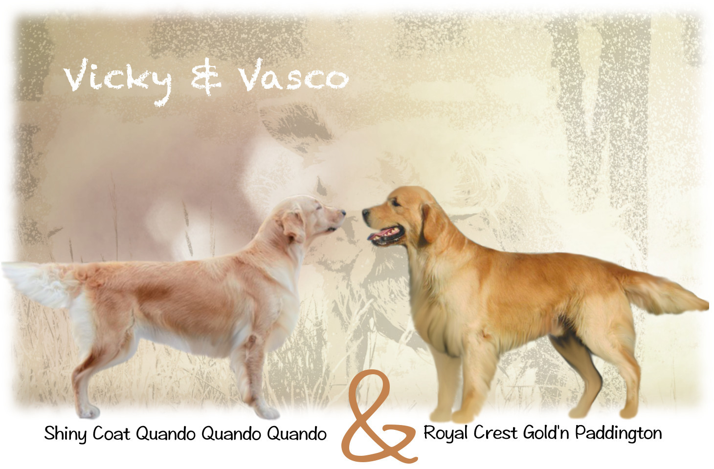 vicky-vasco
