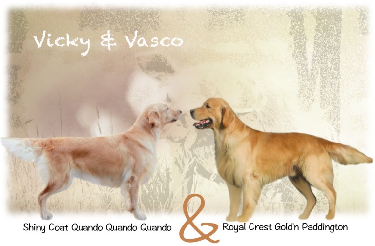vicky-vasco